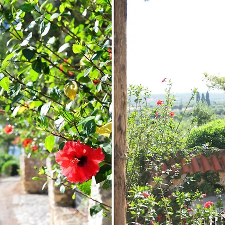 Traganitsa Apartament