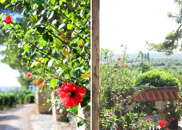 Traganitsa Apartament